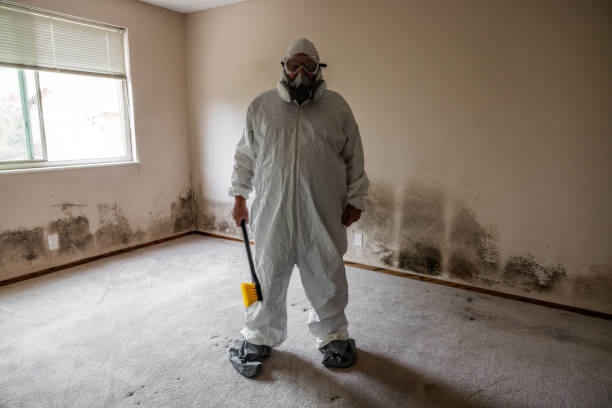 Home Mold Removal in Rural Hill, TN